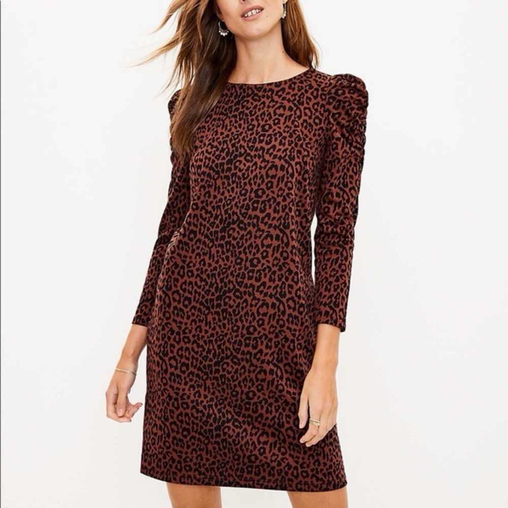 Loft Leopard Print Long Sleeve Dress